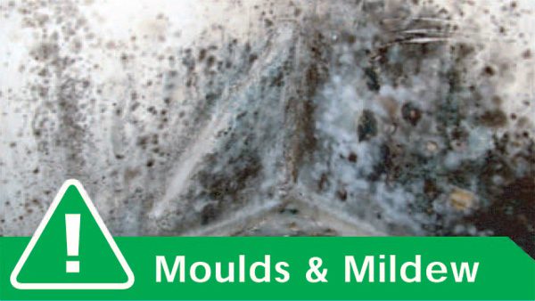 CRAKGON cures mould and mildew problems and provides a healthy home