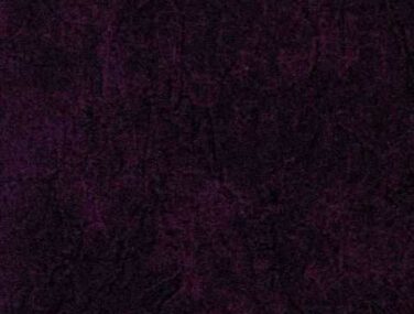 299198
