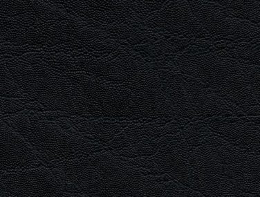 F6410811