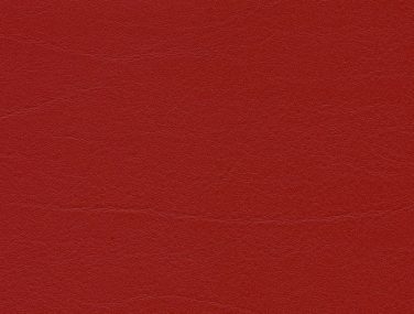 F6461199 Kirsche