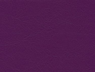 F6461354 Orchidee
