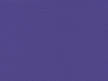 F6461356 Violett