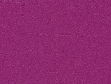 F6461381 Cyclame