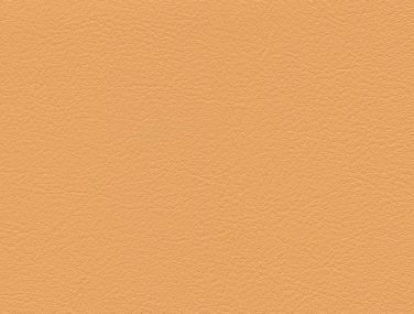 F6461458 Apricot