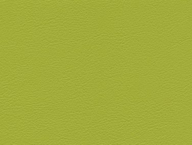 F6461543 Limone