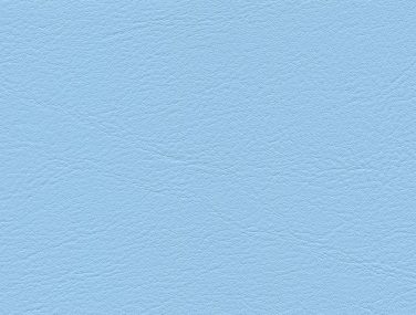 F6461609 Dolphin