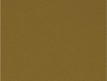 GajaC2C 62041