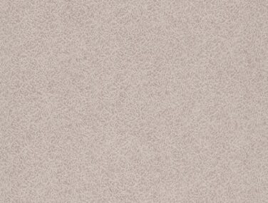 IPA504 1