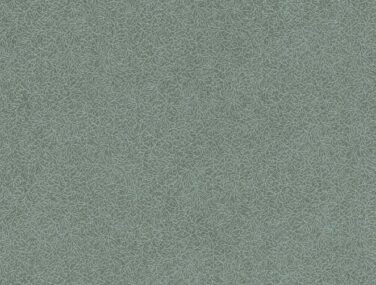 IPA506 1