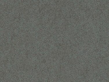 IPA509 1