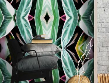 Tropics Room 4