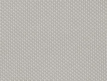 Web 04101