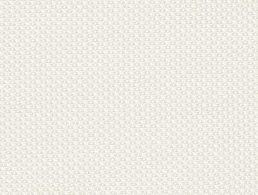 Web 06101