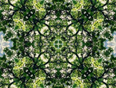 Wilderness swatch 2