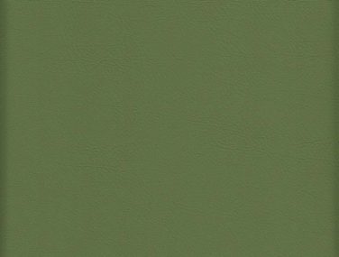 Skai Evida sk_F6800046