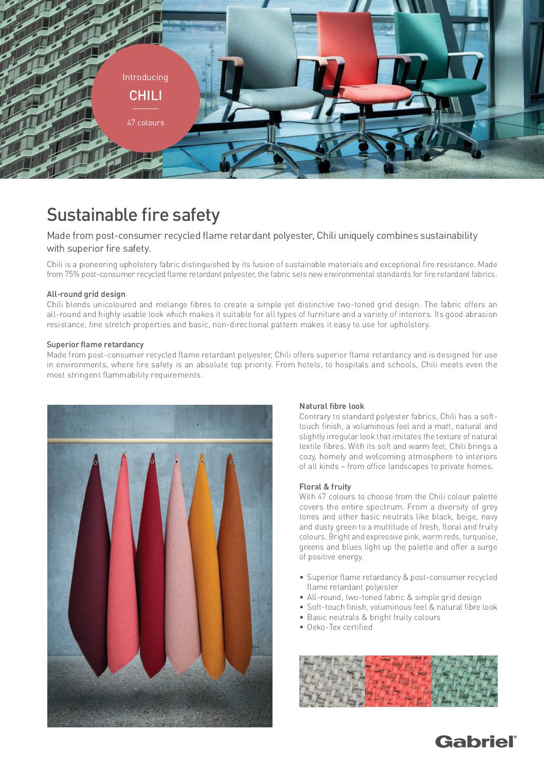 Chili Design Story<br/>( pdf )