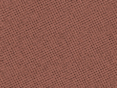 Tonal 64210