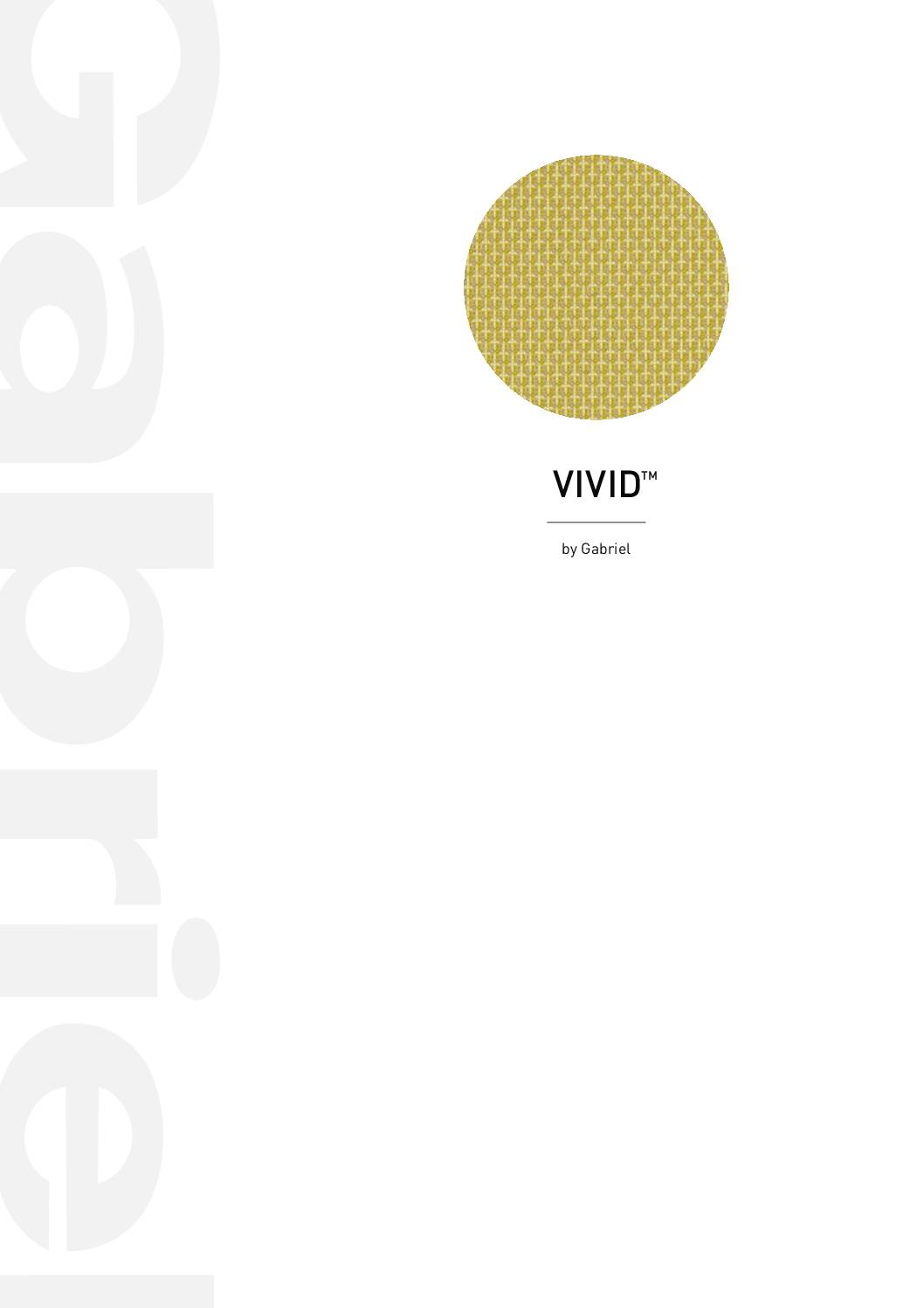 Gabriel - Vivid Colourcard<br/>( pdf )