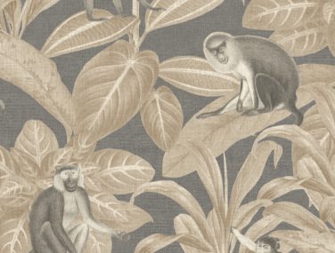Discovery Indian Monkey Truffle DYW0010
