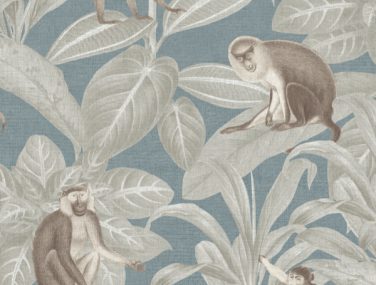 Discovery Indian Monkey teal DYW0009
