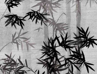 Bamboo Forest 2