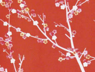 Cherry Tree 1