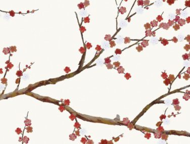 Cherry Tree 2