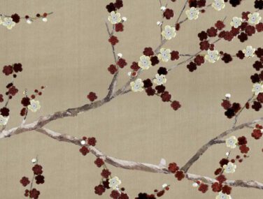 Cherry Tree 3