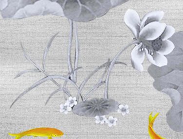 Collezione Pond 2