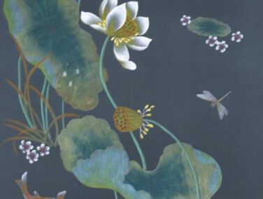 Collezione Pond