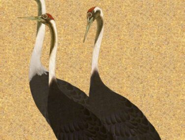 Cranes 1