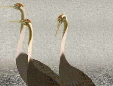 Cranes 2