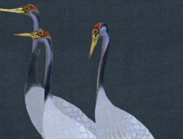 Cranes 3
