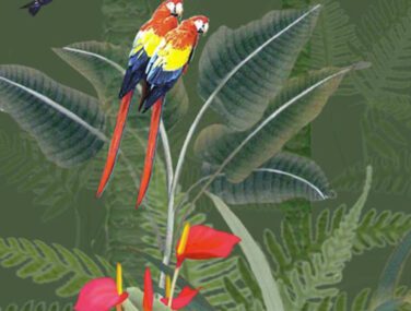 Exotic Garden 1