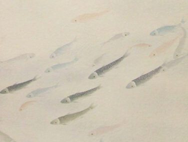 Fish 1