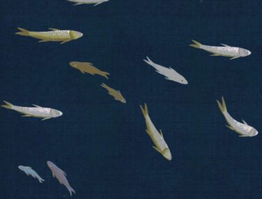 Fish 2