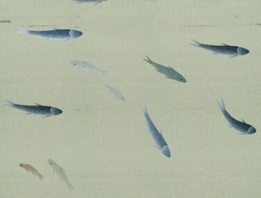 Fish 3