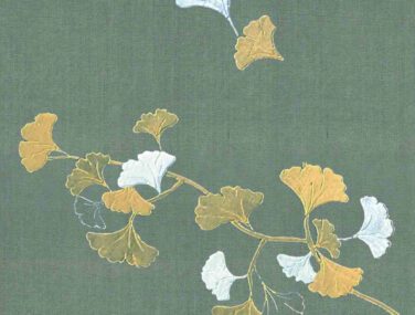 Ginkgo 3