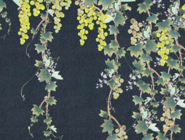 Grapes 2