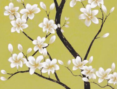 Magnolia Tree 1