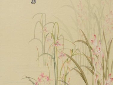 Orchids 1