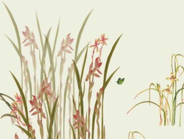 Orchids 3