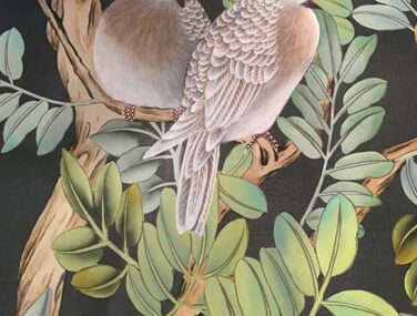 Pagoda Tree room 2