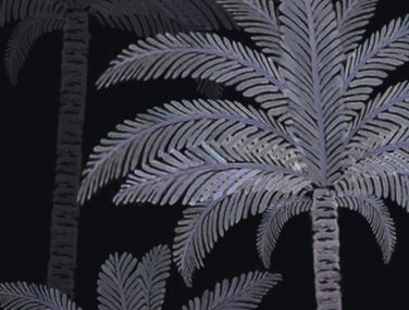 Palms 1