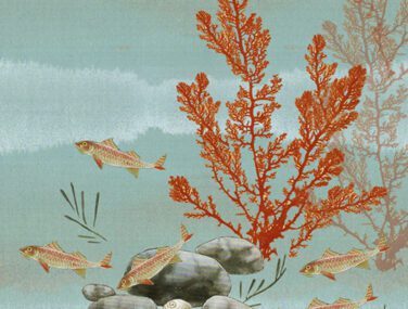 Seabed 1