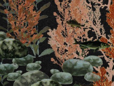 Seabed 3