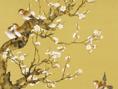 Sparrows 1