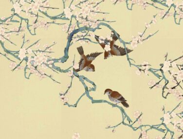 Sparrows 2