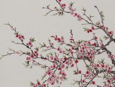 Spring Blossoms 1