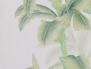 Tropical 1